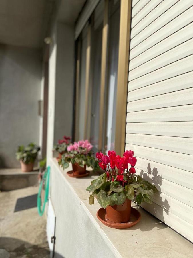 Appartement Domuspes à Sedilo Extérieur photo